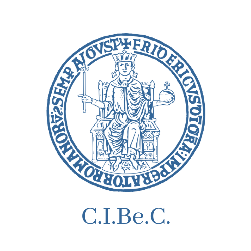 cibec-logo-bottom-text
