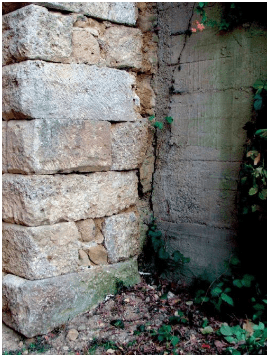 Velia Porta Rosa - 1